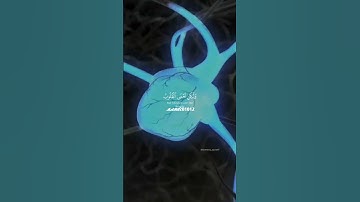 الشيخ ياسر الدوسري افلام يسيروا فى الارض قران كريم بصوت جميل جدا #قران_كريم #اطمأن #توعية_دينية