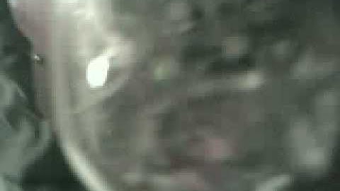 my test on the BG-12 and the system sensor classic spectralert strobe