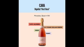 Good Pair Days - Dignitat 