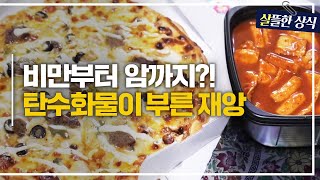 한국인과 떼어놓을 수 없는 사이, 탄수화물...😓 그 탄수화물이 건강을 헤치는 재앙이라고?｜한 번 더 리즈시절｜JTBC 230819 방송