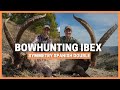 BOWHUNTING SPANISH BECEITE IBEX IN SPAIN 💥 ADAM FOSS & PEDRO AMPUERO MOUNTAIN HUNTING TOGETHER 💥