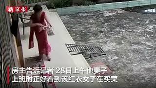 女子进民房抱走猫咪，被房主找到后辩称是“猫控”，以为是野猫