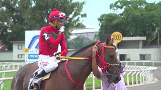 Vidéo de la course PMU PRIX ADOLFO FOLLE JUANICO