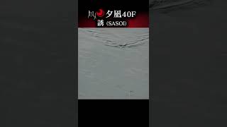 りんたこ岩崎林太郎が夕凪40F 誘(SASOI)のアクションの付け方を生解説
