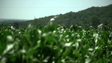 Redline Digital Divide Introduction