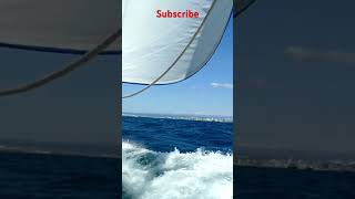 Jah Meridian -Sail Away reggae vibes #shorts #reggae #reggaevibes #chillvibes #jahmeridian #vibes