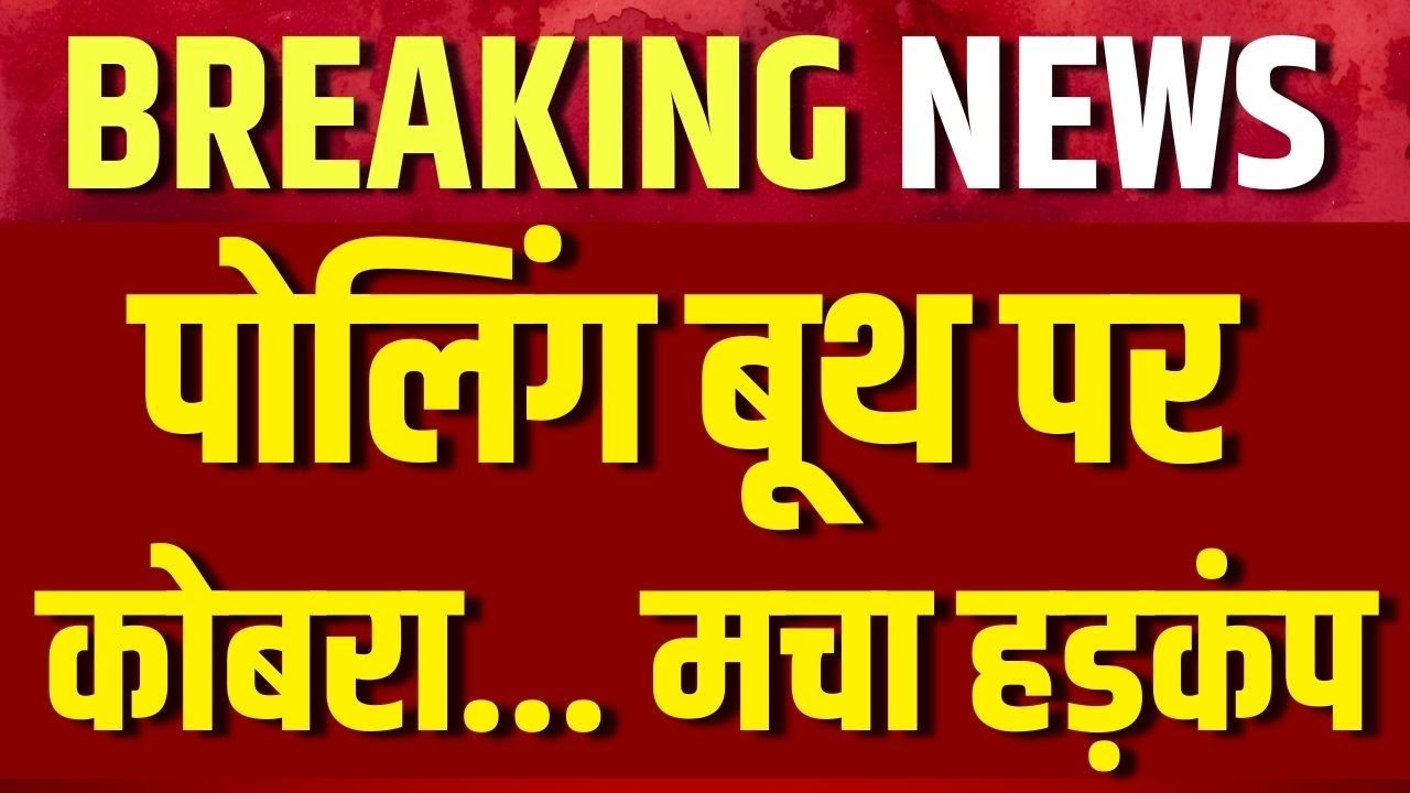 TOP 10 NEWS: पोलिंग बूथ पर कोबरा निकलने से हड़कंप | BCB | Iran Crisis | Trump | BMC Election 2026