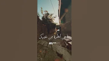 سأبكي عليك ها أنت الآن اليوم ي شار إليك 