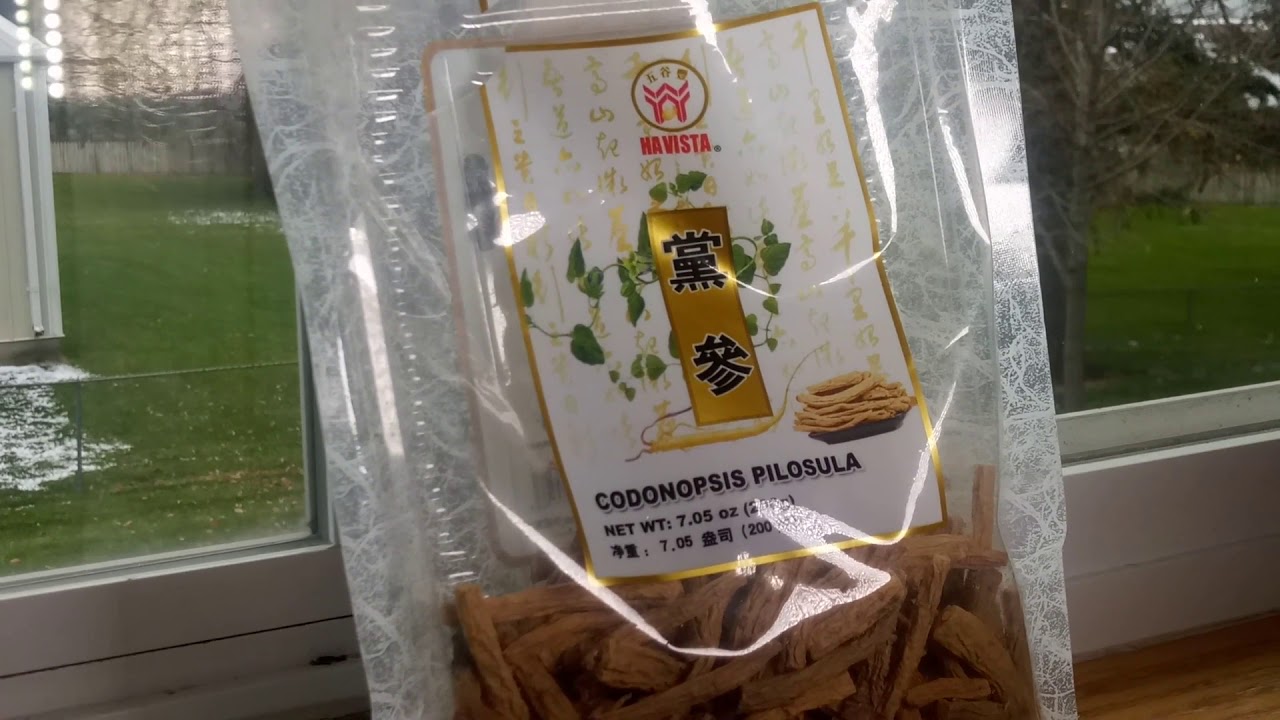 Codonopsis Poor man Gingseng