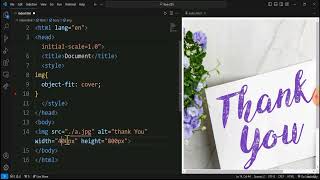 42  CSS Object Fit Position Update