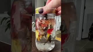 DIY fall globe 🍁 #kidscraft #fallcraft #diyforkids