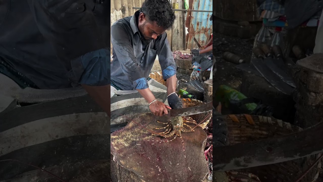 Rarest Live LobsterCutting in 