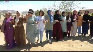 Ozan Yunus Ve Ekibi Kulp Béhedi Köyü Göneş Ailesi Düğünü Resimi