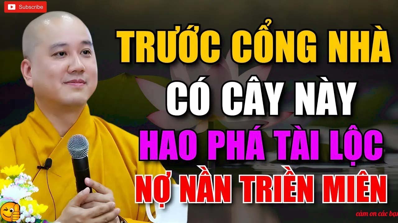 5 LOÀI CÂY ĐẠI KỴ TRƯỚC CỔNG – GIA ĐÌNH XUI XẺO, PHÚC BÁO TIÊU TAN!   THẦY PHÁP HÒA GIẢNG