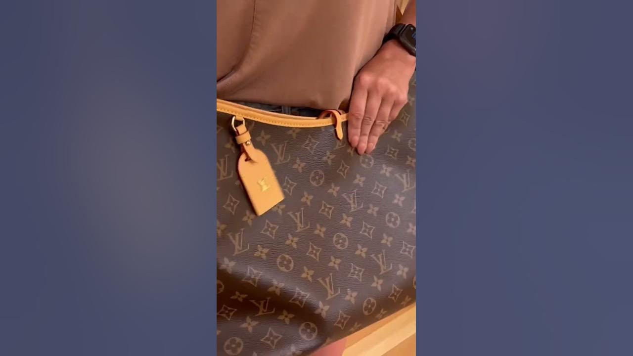 NEW Louis Vuitton Carryall PM  Unboxing, What Fits, Mod Shots 