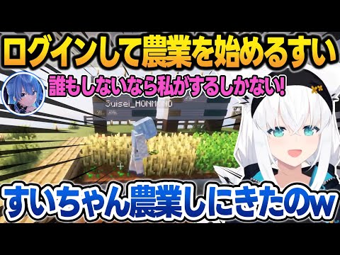 ログインして即みこちとてぇてぇした後、農業を始めるすいちゃんを見守るフブさん【白上フブキ/さくらみこ/星街すいせい/音乃瀬奏/不知火フレア/ホロライブ/切り抜き】