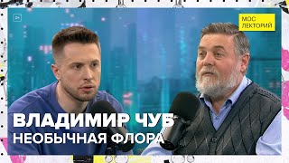 видео: Необычная флора и рекордсмены из царства растений | Владимир Чуб Лекция 2024 | Мослекторий картинка: Необычная флора и рекордсмены из царства растений | Владимир Чуб Лекция 2024 | Мослекторий
