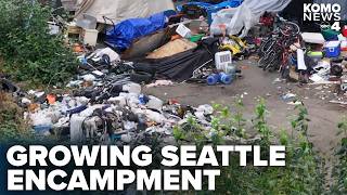 A humanitarian crisis Neighbors plead for city to deal with south Seattle encampment