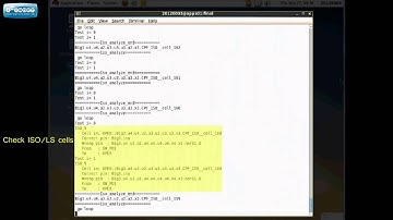 PPDebug-Parallelizable Power Structural Debug in Verdi 可平行化供電結構除錯