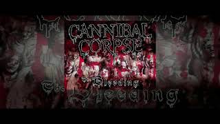 Cannibal Corpse - Stripped Rapped and Strangled Guitar Backing Track With Vocals