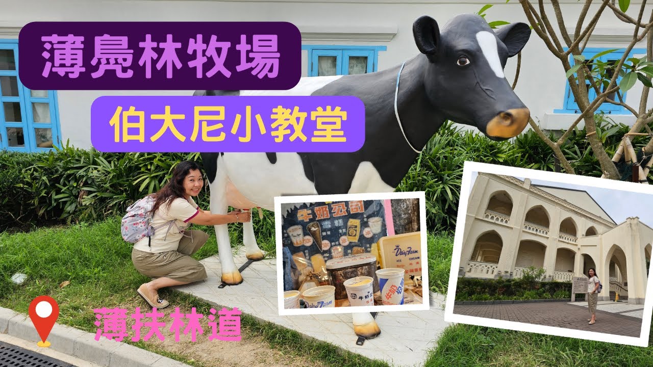 薄鳧林牧場🐮 | 薄扶林牧場 | 伯大尼小教堂⛪️ | 20230415