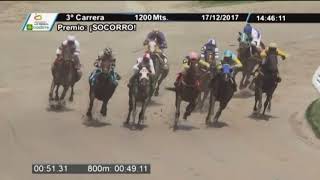 Vidéo de la course PMU PREMIO SOCORRO