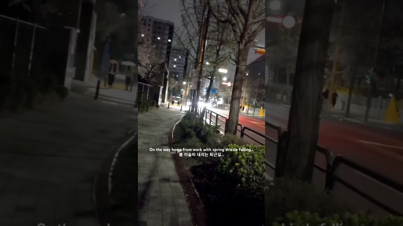 SEOUL KOREA : On the way home... 