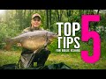 Top 5 tips for boilie fishing carp fishing bait tips with adam reed mainline baits carp fishing tv