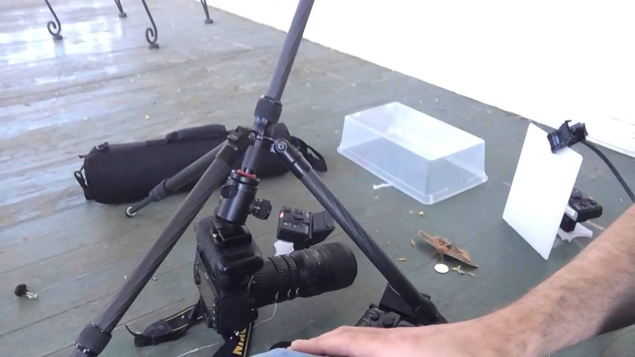 Mammoth Moth Studio - YouTube