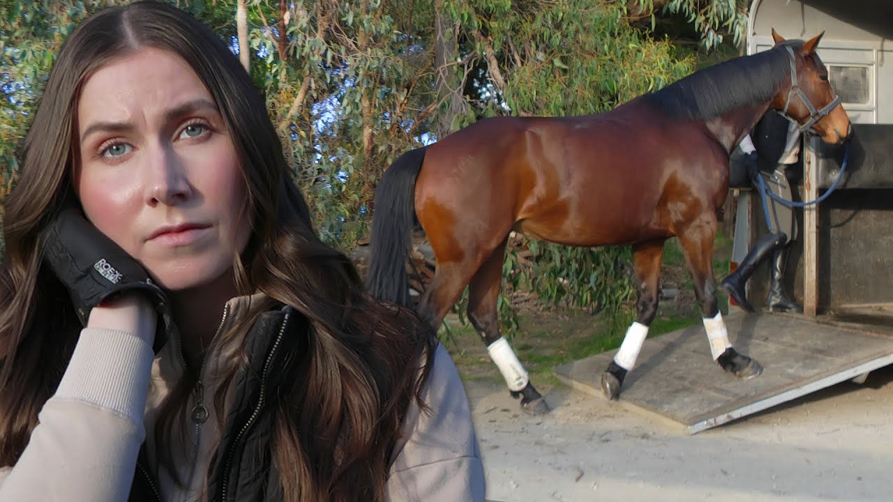 my horse is leaving..