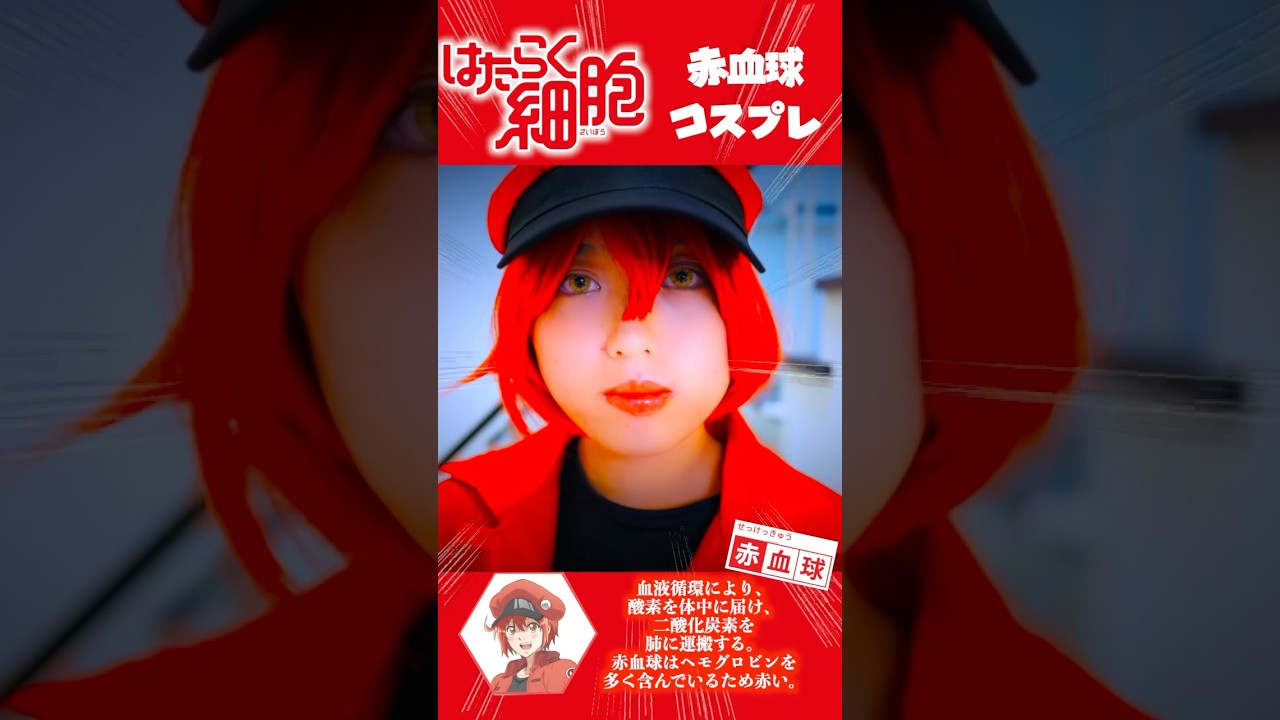 映画化もされた人気アニメ　はたらく細胞　赤血球コスプレ はたらく細胞 赤血球 赤芽球 | Vings(ヴィングス)
