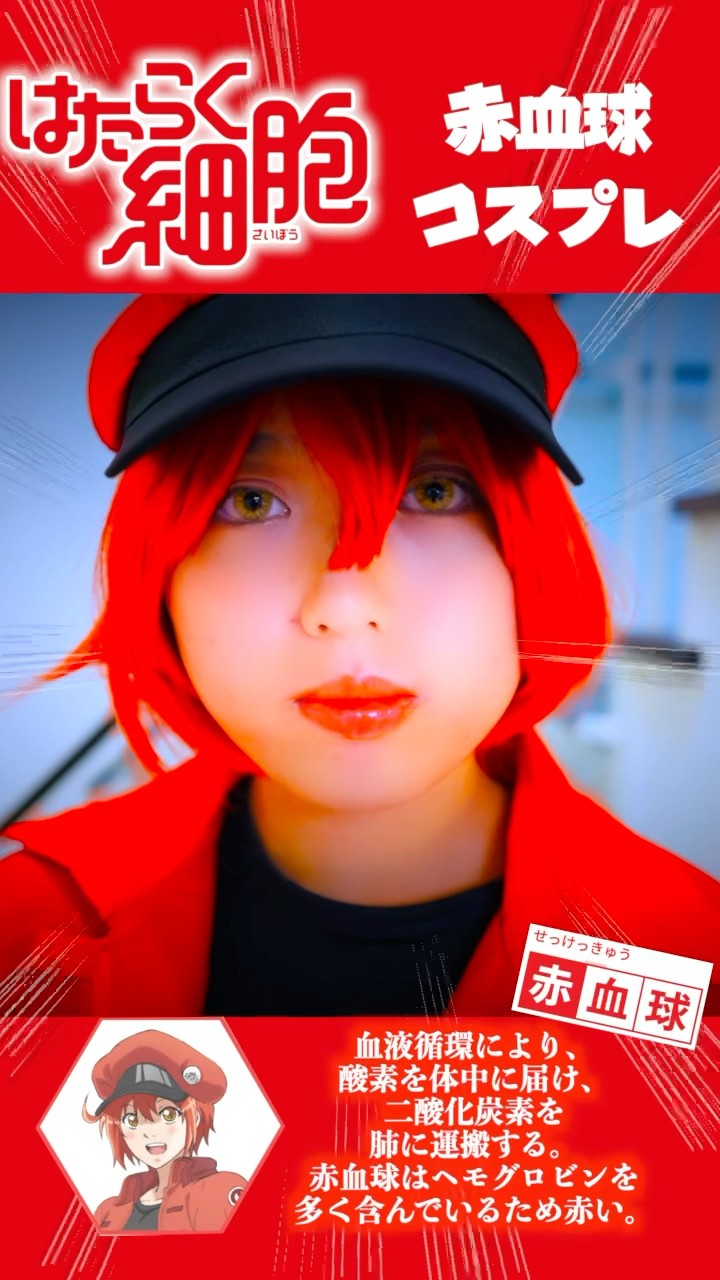 はたらく細胞】コスプレやってみた！ 白血球 赤血球 Cosplay Cells at