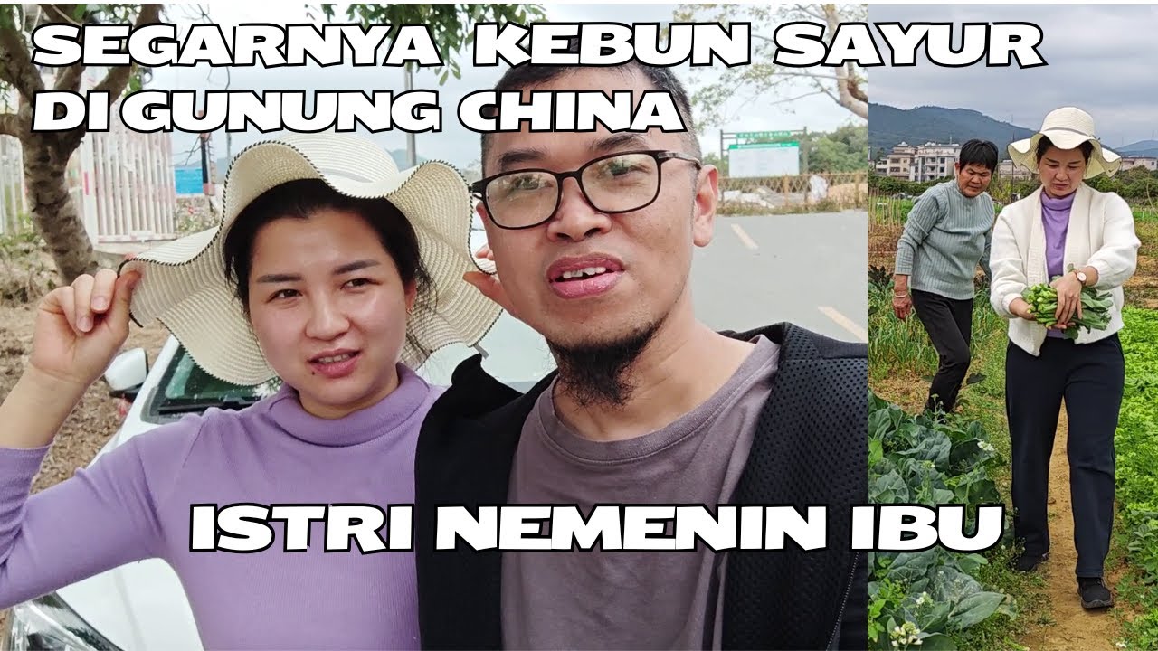 Senangnya ISTRI dan Orang Tua ke Kebun Sayur di Gunung Huiyang