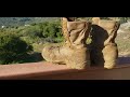 Danner tfx 8 boot review mp3