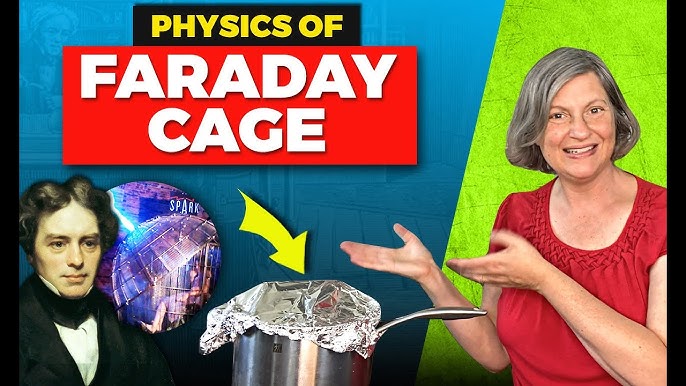 Faraday Cage: What is a Faraday Cage-How Does a Faraday Cage Work? Gamry  Instruments