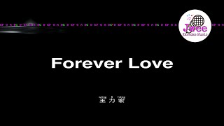 王力宏 《Forever Love》 Pinyin Karaoke Version Instrumental Music 拼音卡拉OK伴奏 KTV with Pinyin Lyrics 4k