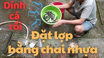 Đặt lợp cá bống dừa, thử nghiệm lợp làm bằng chai nhựa