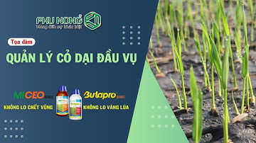 Tọa đàm: quản lý cỏ dại hiệu quả