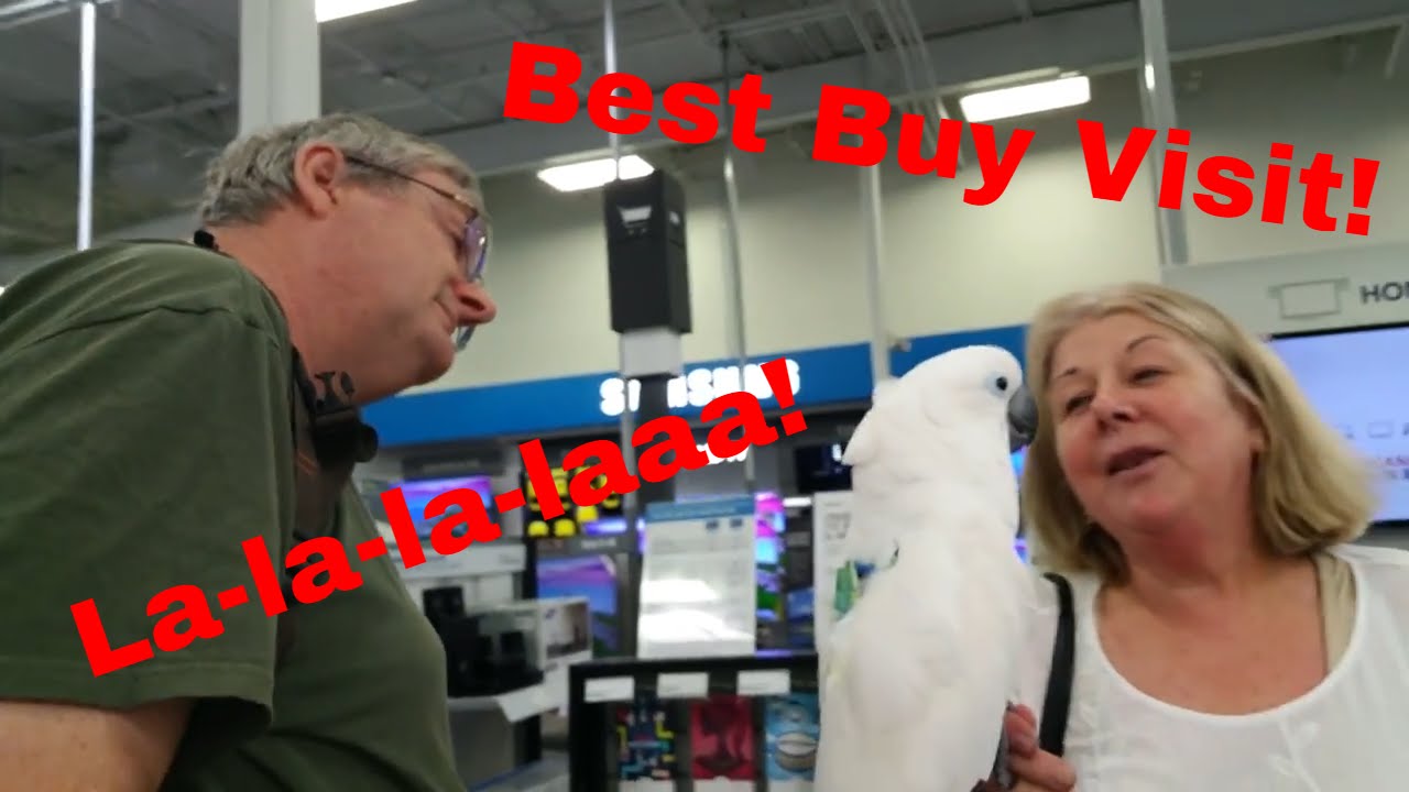 cockatoo price ph Quick Stop at Best Buy for Onni