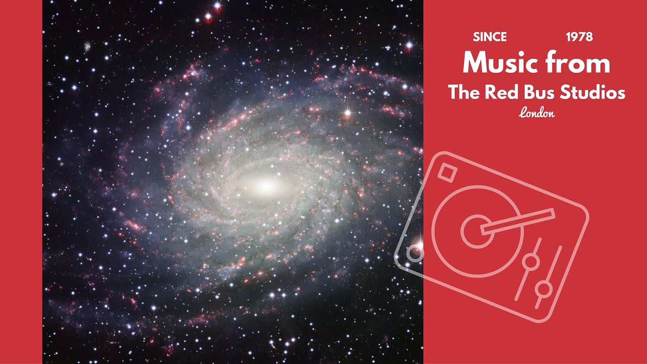 Sheer Elegance   Life is Too Short Girl