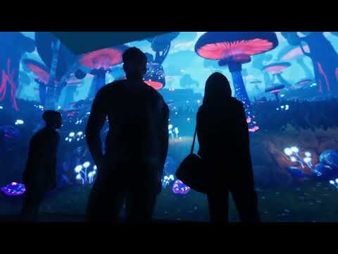 Welcome to the next dimension of entertainment with Disguise