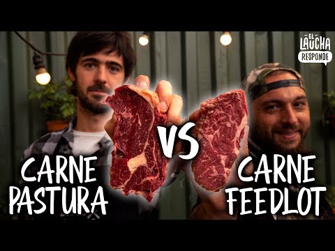 Video: ¿Qué es un bistec alimentado con pasto?