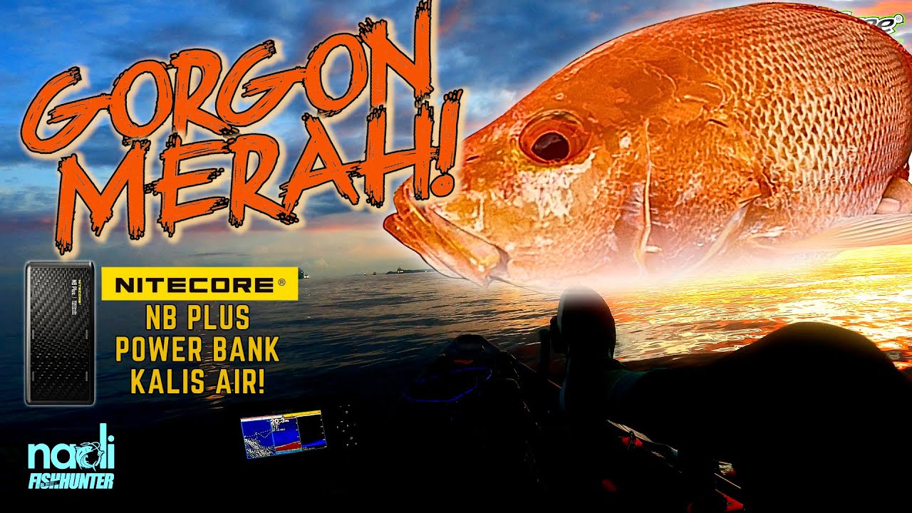 GORGON MERAH, Sotong Di Ufuk Jingga! | NITECORE NB PLUS | Kayak Fishing ZERO to HERO! v131