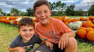 🎃 Jack & Max Pick Pumpkins  | PUMPKIN PATCH