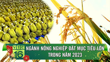 Ngành nông nghiệp đặt mục tiêu lớn trong năm 2023 | VTC16