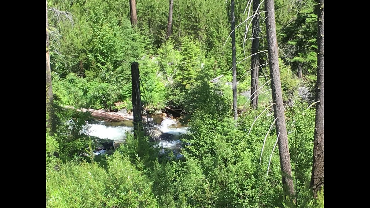 Pronunciation Guide: Danza, danza, fanciulla gentile by Francesco Durante