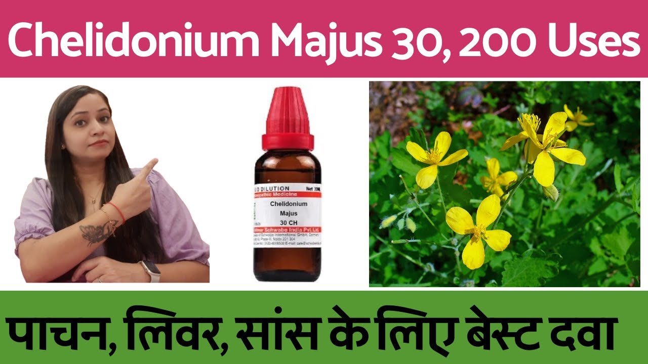 पाचन, लिवर, साँस जैसी 10 से ज्यादा बीमारियाँ ख़त्म | Chelidonium majus | chelidonium q, 30, 200 Uses