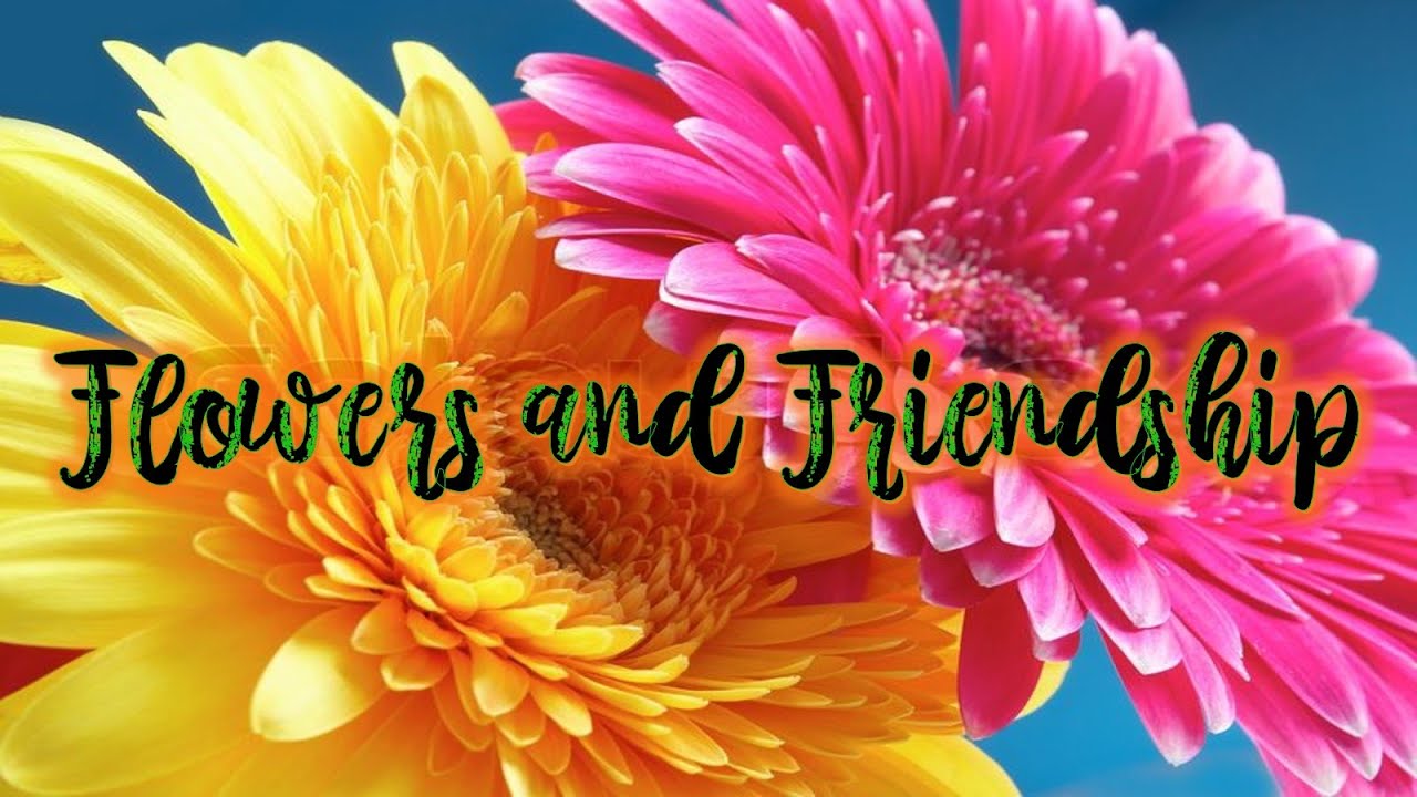 Flowers and Friendship flowers and friendship,friendship,flowers YouTube