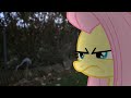 Fluttershy mlp in real life