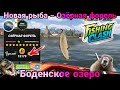 Новая рыба - Озёрная форель на Боденском озере / Fishing Clash: Реальная рыбалка